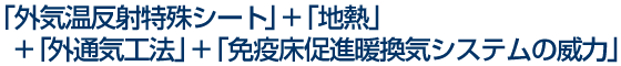 �O�C�����˓���V�[�g+�n�M+�O�ʋC�H�@+�Ɖu�����i�g���C�V�X�e���̈З�